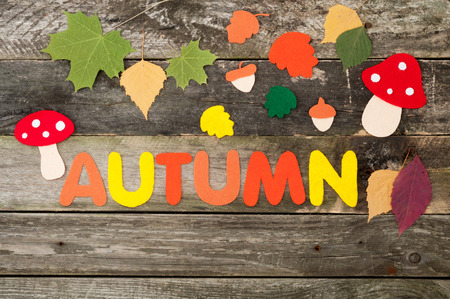 Autumn background on old wooden boards. Handmade  leaves, mushrooms, acorns and word Autumn of felt. Top viewの写真素材