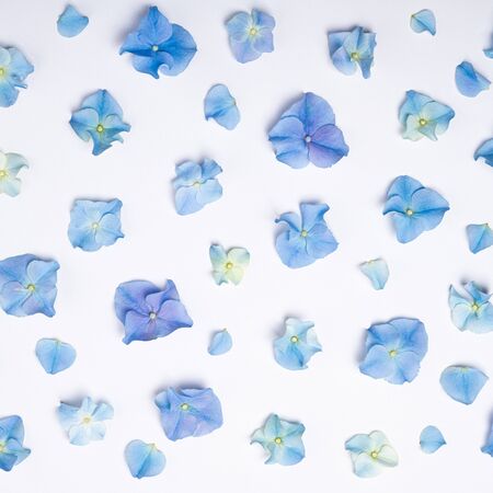 Flowers composition. Floral pattern of blue flowers hydrangea on white background. Creative floral...