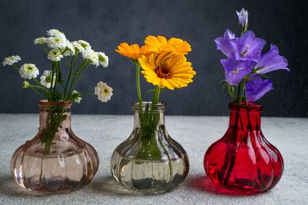 Beautiful flowers bouquets in vases with water drops. Summer bloom of wild flowers. Floral compositionの写真素材