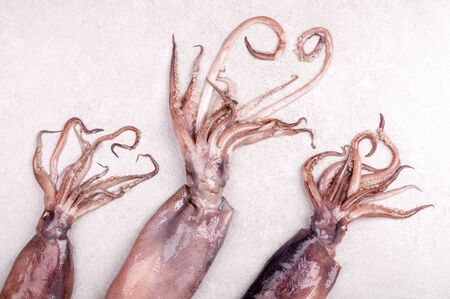 Fresh squid on gray background top view. Copy spaceの写真素材