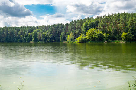 Beautiful natural scenery of river in forest. Landscape with green woods and river. Wonderful...