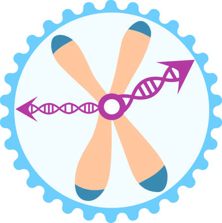Biological clock within somatic cellのイラスト素材
