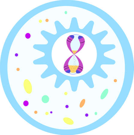 Cell with chromosome-shaped hourglass inside nucluesのイラスト素材
