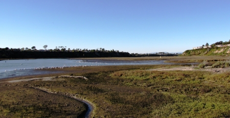 Coastal wetlands, Orange County, California