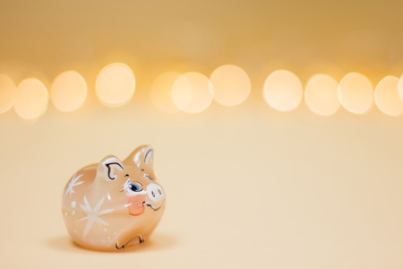 Pretty pig symbol of the year 2019 on the bokeh lights background.の写真素材