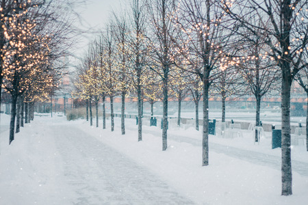 Beautiful blurred winter tree alley with falling snow and shining christmas lights bokeh.の写真素材