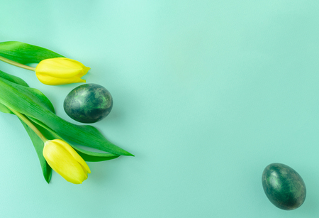 Beautiful spring concept with Easter eggs and yellow tulips on turquiose blue background. Flat lay. Copy space.の写真素材