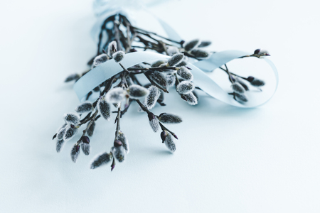 Easter decoration of pussy willow with a blue ribbon on light blue background. Close-up. Copy space.の写真素材