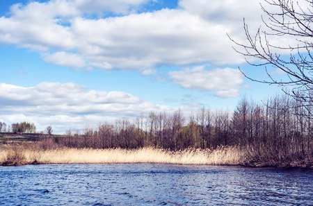 Beautiful brightly lit spring landscape background. Blue river and trees on on a sunny day after melting snow.の写真素材