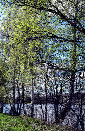 Beautiful brightly lit spring landscape background. Blue river and trees on on a sunny day after melting snow.の写真素材