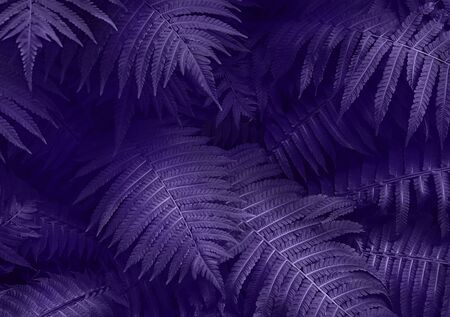 Ultra Violet dark and moody backdrop for your design. Top view. Top view. Copy space.の写真素材