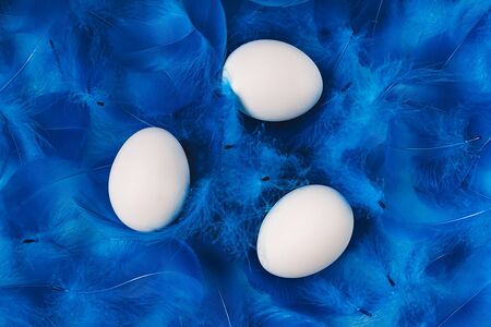Abstract fluffy feathers Easter background in trendy blue color with white cracked egg shell. Easter concept. Dark and moody feel. Backdrop for your design. Flat lay style. Place for text.の写真素材