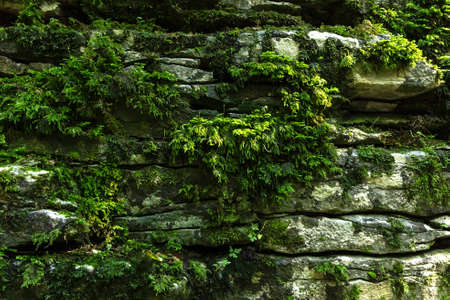 Mountain rock texture closeup for wallpaper design. Retro background. Vintage blank wallpaper. Grunge texture.の写真素材