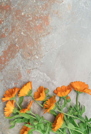 Beautiful marigold flower bouquet on natural stoneの写真素材