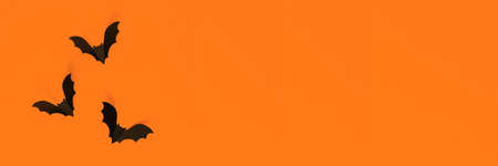 Cartoon Halloween background black bats on orange backdrop. Bright holiday backdrop for your design....