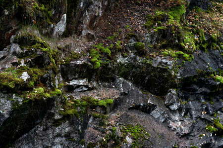 Mountain rock texture closeup for your design. Natural wallpaper. Grunge texture.の写真素材