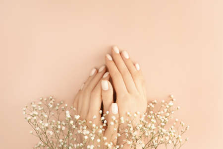 Female hands adorned with small white flowers on pastel background for decoration design. Vintage pink gift card. Love and romance concept. Beauty concept. Flat lay style. Copy space.の写真素材