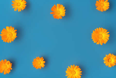 Beautiful background with orange marigold flowers pattern on blue backdrop. Colorful abstract background. Backdrop for your design. Flat lay style. Copy space.の写真素材
