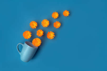 Beautiful vibrant orange marigold flowers poured out of blue cup on blue background. Herbal tea concept. Colorful abstract background. Creative trendy flat lay with space for text.の写真素材