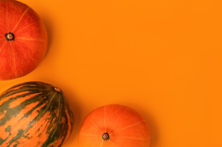 Vintage design for any purposes orange and green pumpkins on orange background. Fall background. Minimal holiday season food concept background in flat lay style. Copy space.の写真素材