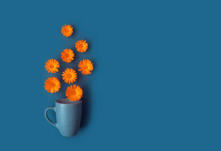 Beautiful vibrant orange marigold flowers poured out of blue cup on blue background. Herbal tea concept. Colorful abstract background. Creative trendy flat lay with space for text.の写真素材