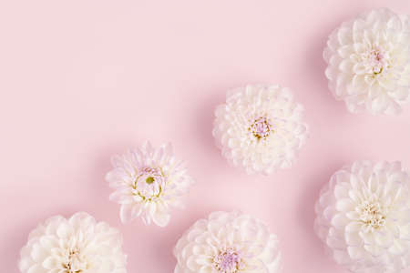 Trendy abstract image of white flowers on trendy lilac background in flat lay style for decoration design. Romantic holiday concept. Beautiful pink gift card with copy space.の写真素材