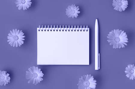 Beautiful background with opened blank spiral notepad and pen framed with marigold flowers pattern. Toned in trendy color of year 2022. Flat lay style. Copy space.の写真素材