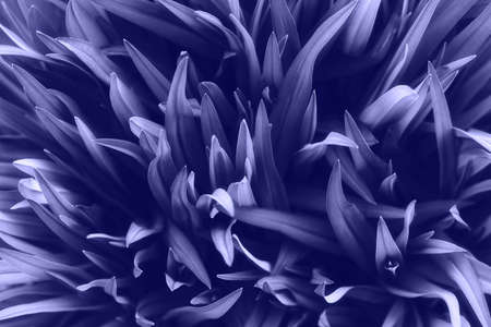 Perfect natural fresh leaves pattern natural background. Toned in trendy color of year 2022....