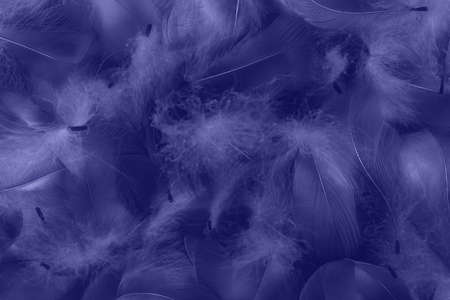 Abstract fluffy feathers background toned in trendy color of year 2022. Beautiful backdrop for your design. Flat lay style. Copy space.の写真素材