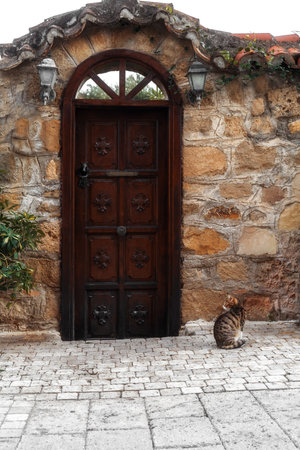 View of old town wall with vintage wooden door in Turkey at dusk with handsome green eyed tabby cat. Retro vintage style. Copy space.の写真素材