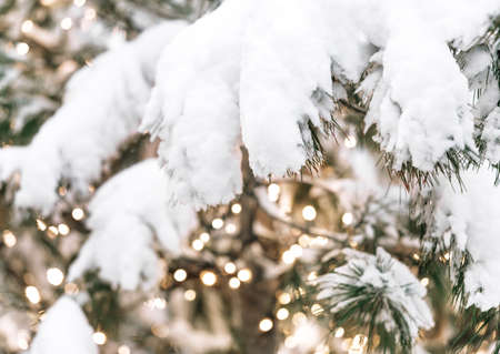 Beautiful fir tree decorations and lights of traditional Christmas fair. Holidays concept. Winter...