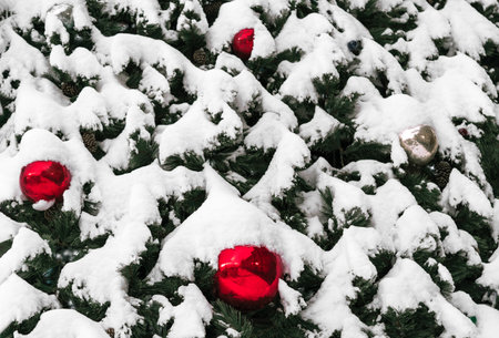 Beautiful snowy fir trees decorations and lights of traditional Christmas fair. Holidays concept. Winter holiday season background.の写真素材