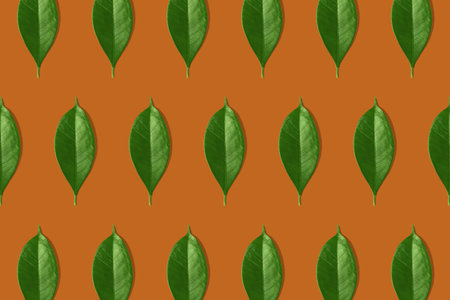 Creative seamless pattern of green leaves on orange background. Creative design in flat lay style. Top view. Mock-up.の写真素材