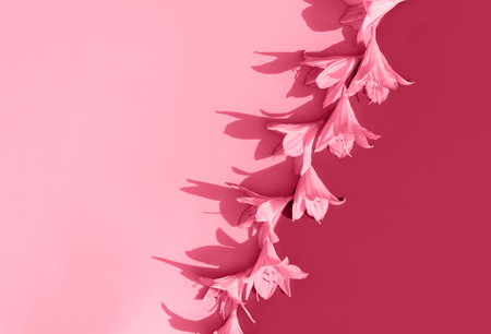 Lily flowers layout toned in trendy magenta color of year 2023. Stylish retro design template. Summer concept. Copy space.の写真素材