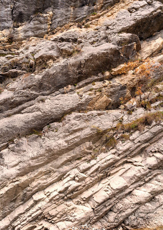 Beautiful texture of a natural stone background. Great backdrop for your design. Copy space.の写真素材