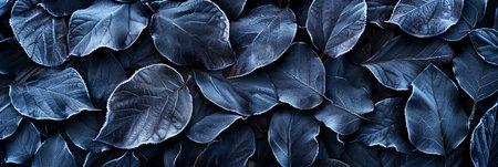 A collection of dark blue leaves is spread out flat, highlighting their unique shapes and textures.の素材
