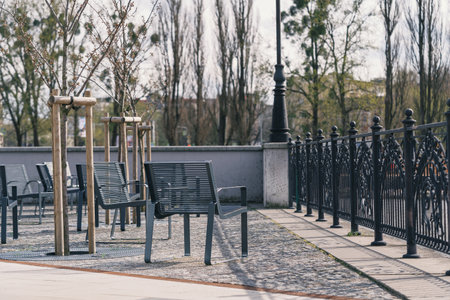 Empty benches and newly planted trees create a peaceful atmosphere in the urban park under clear skies. The well-maintained area invites relaxation and leisure activities.の写真素材