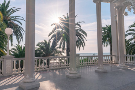 Sunlit terrace features elegant columns and lush palm trees, creating a tranquil atmosphere with ocean views. The scene captures the beauty of nature and architectural design in harmonyの写真素材