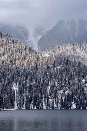 Snow-covered mountains rise majestically behind a serene lake, surrounded by lush evergreen trees, creating a peaceful atmosphere with reflections on the water's surface and soft clouds aboveの写真素材
