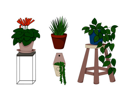 Indoor flowers in pots. Beautiful flowers. Cactus, ficus, plants, fresh flowers. Red and blue flower pot. Isolated on white background, vector. Vector illustrationのイラスト素材