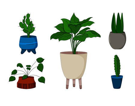 Indoor flowers in pots. Beautiful flowers. monster, ficus, plants, fresh flowers. Red and blue flower pot. Isolated on white background, vector. Vector illustrationのイラスト素材