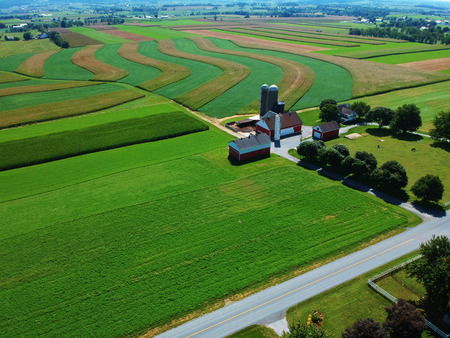 Beautiful Country Farm in Summer