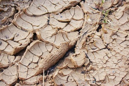 Parched soil or riverbed in need of water during drought