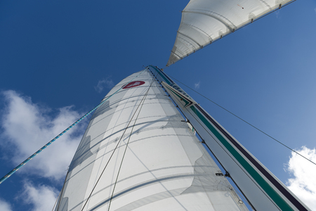 sailのeditorial素材