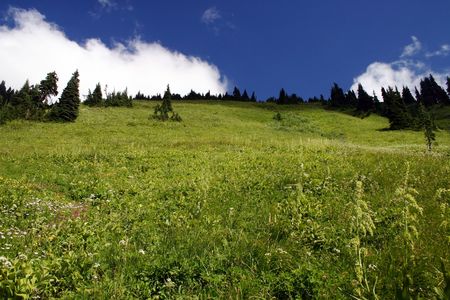 Hiking view of alpine medaw.の写真素材