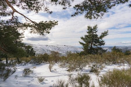 Landscape of the Sierra de Guadarrama of Madrid. Snowy autumn.の写真素材