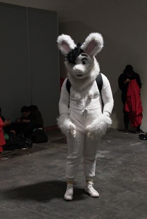 Japan Weekend Madrid 2020. 15, 16 February 2020のeditorial素材