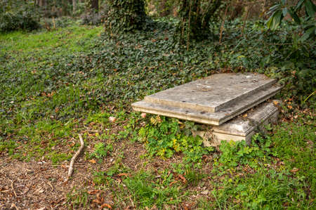A grave in a forest with the lid open.の写真素材