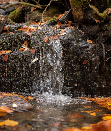 Small waterfall flowing through moss covered rocks and fallen colorful autumn leavesの写真素材