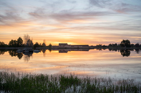 Twilight Serenity: A Pastoral Sunset Silhouette Over Calm Watersの写真素材
